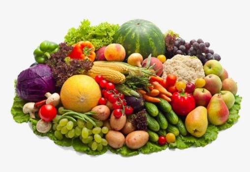 垃圾分类后,湿垃圾怎么处理好?